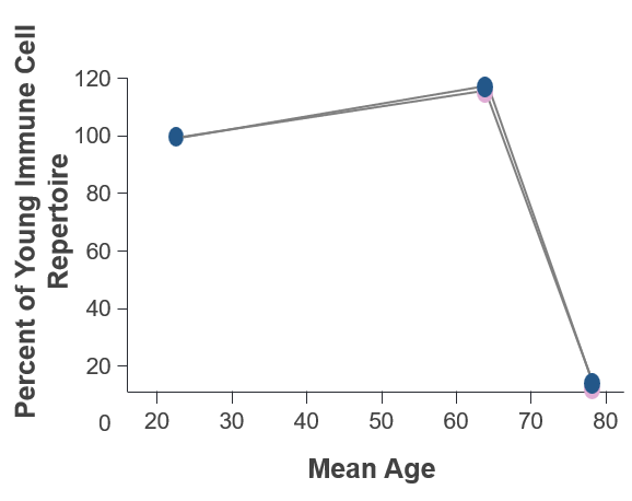 T cell repertoire decline with age